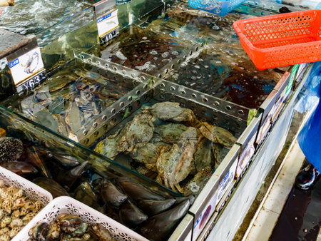 HAINAN, CHINA - 3 MAR 2019 â Tanks of fresh live seafood (crabs; clams, shellfish) for sale at a seafood wholesale and retail centre in Hainan, Chinaのeditorial素材