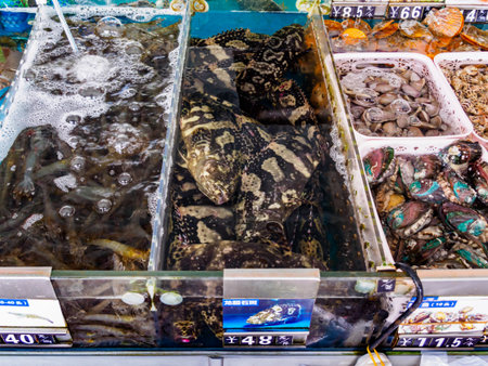 HAINAN, CHINA - 3 MAR 2019 â Tanks of fresh live seafood (fish; prawns, shellfish) for sale at a seafood wholesale and retail centre in Hainan, Chinaのeditorial素材