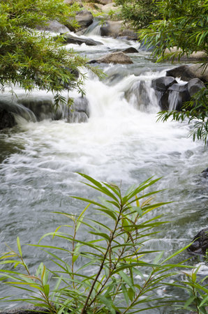 Waterfall on the Mountain Stream in the Forestの写真素材