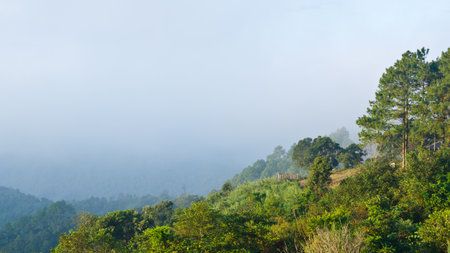 Scenic view of nature on the hill  Ang Khang mountains  Chiang Mai  Thailandの写真素材