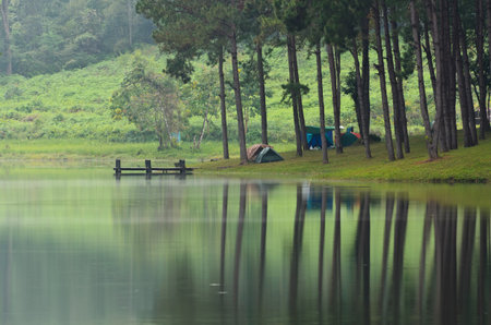Camping at Pang Ung  Beautiful forest lake in the morning  Mae Hong Son  Thailandの写真素材