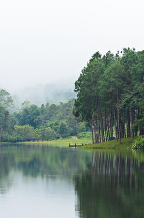 Pang Ung  Beautiful forest lake in the morning  Mae Hong Son  Thailandの写真素材