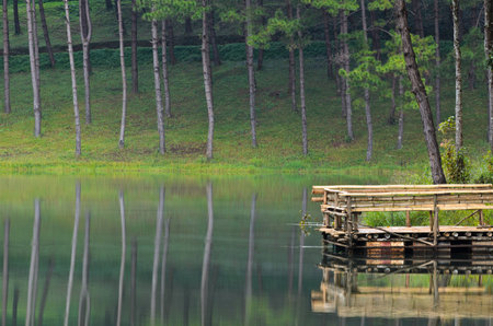 Pang Ung  Beautiful forest lake in the morning  Mae Hong Son  Thailandの写真素材