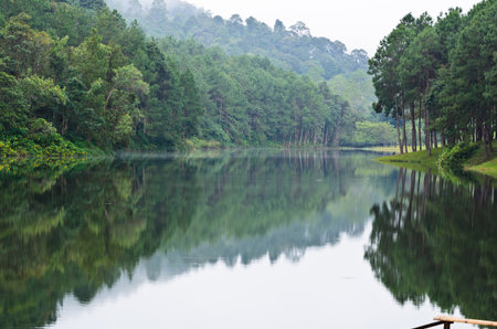 Pang Ung  Beautiful forest lake in the morning  Mae Hong Son  Thailandの写真素材