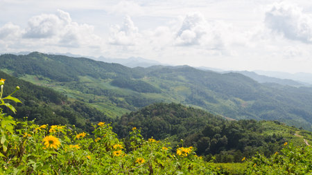 Doi Mae U Ko, Scenic mountain peaks  Mae Hong Son, Northern Thailand の写真素材