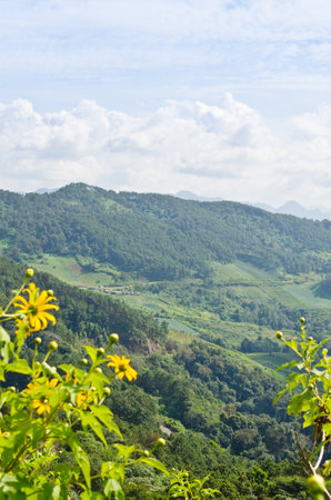 Doi Mae U Ko, Scenic mountain peaks  Mae Hong Son, Northern Thailand の写真素材