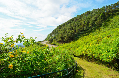 Scenic Mae Uko mountain  Mae Hong Son in northern Thailand の写真素材