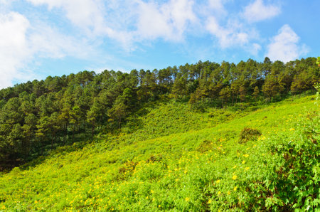 Scenic Mae Uko mountain  Mae Hong Son in northern Thailand の写真素材