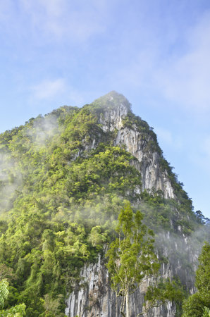 Limestone mountain surrounded by tropical forests of Thailand の写真素材