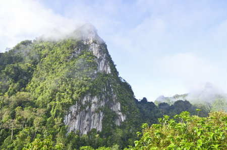 Limestone mountain surrounded by tropical forests of Thailand の写真素材