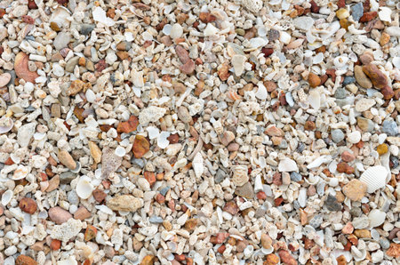 Background, Beach with many old shells and multi-colored stones 