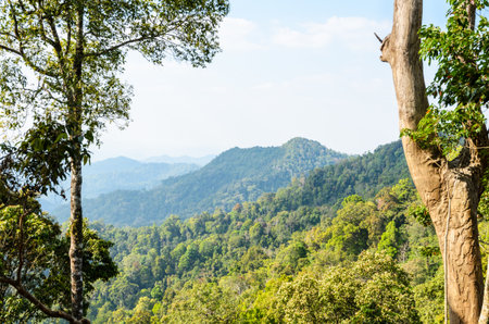 High angle view forest mountain and sky from Panoen Thung scenic point at Kaeng Krachan National...