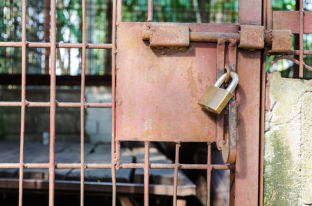 Steel cage door was locked with a key. The problem of illegal wildlife trade
