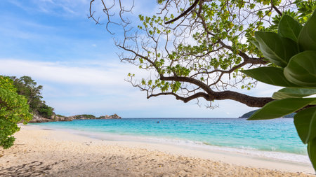 Beautiful landscape sky and blue sea under a green tree at beach of Koh Miang island is a attractions famous for diving in Mu Ko Similan National Park, Phang Nga, Thailand, 16:9 widescreenの写真素材