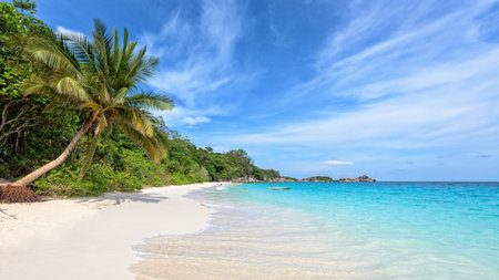 Beautiful landscape of blue sky coconut sea sand and waves on the beach during summer at Koh Miang island in Mu Ko Similan National Park, Phang Nga province, Thailand, 16:9 widescreenの写真素材