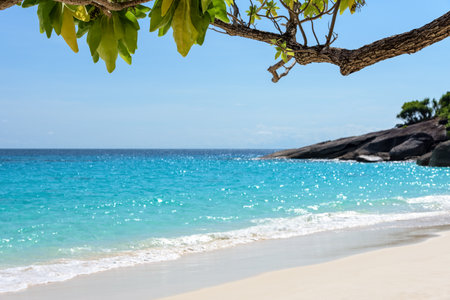 Beautiful landscape of blue sky sea sand and white waves on the beach during summer at Koh Miang island in Mu Ko Similan National Park, Phang Nga province, Thailandの写真素材