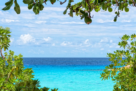 Beautiful natural landscape blue sky and sea have leaves and tree is a frame for background at beach front of Koh Miang Island during summer in Mu Ko Similan National Park, Phang Nga, Thailandの写真素材