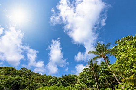 Beautiful high view blue sky cloud and sun during summer over palm tree on beach for background at Koh Similan Islands in Mu Ko Similan National Park, Phang Nga province, Thailandの写真素材