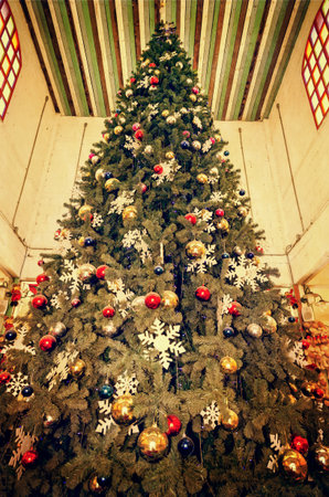 Old christmas tree an abandoned inside house in vintage styleの写真素材