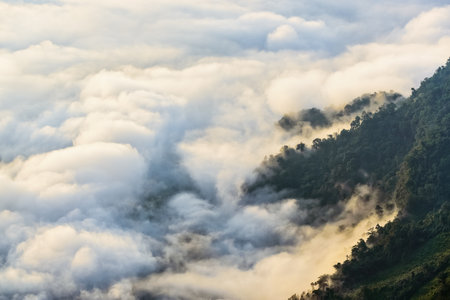 Beautiful landscape nature of valley cloud and fog view from peak mountain in winter at Phu Chi Fa Forest Park is a famous tourist attractions of Chiang Rai Province, Thailandの写真素材