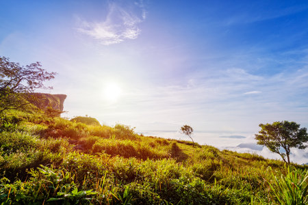 Beautiful landscape nature of sunrise on peak mountain with sun cloud fog and bright colors of sky in winter at Phu Chi Fa Forest Park is a famous tourist attraction of Chiang Rai Province, Thailandの写真素材