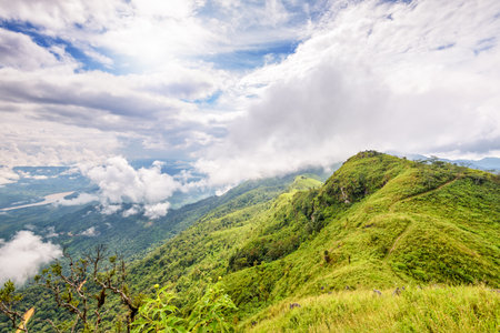 Beautiful natural landscape from the high angle view of Mekong River forest and clouds in the sky on the mountain at Doi Pha Tang view point, Chiang Rai Province, Thailandの写真素材