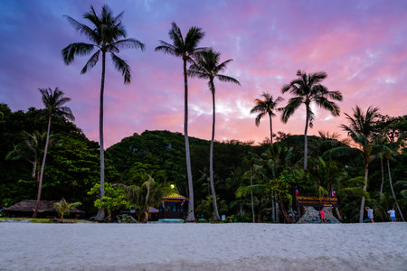 Beautiful natural landscape of coconut trees on the beach in front of Ko Wua Ta Lap island, under the colorful sky at sunset, Mu Ko Ang Thong National Marine Park in Gulf of Thailand, Surat Thani provinceの写真素材