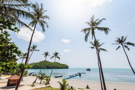 Beautiful natural landscape coconut trees on the beach and the sea at Ko Wua Ta Lap island. Under the summer sky in Mu Ko Ang Thong National Marine Park, Surat Thani province, Thailandの写真素材
