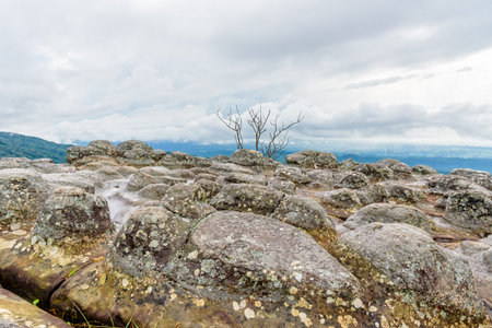 Beautiful nature landscape of green forests on Lan Hin Pum viewpoint with strange stone shapes caused by erosion is a famous nature attractions of Phu Hin Rong Kla National Park, Phitsanulok, Thailandの写真素材