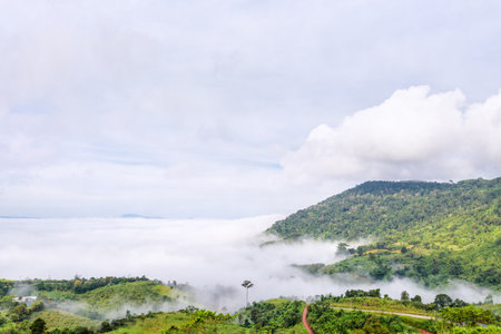 Beautiful nature landscape fog in the valley and the green mountain at the high angle viewpoint. Famous tourist attractions at Khao Kho district, Phetchabun province Thailandの写真素材
