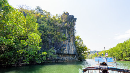 Travel by boat in beautiful nature of green mangrove forest and stone at Phante Melaka Canal. Water route for cruise to Crocodile Cave at Tarutao National Park, Satun, Thailandの写真素材