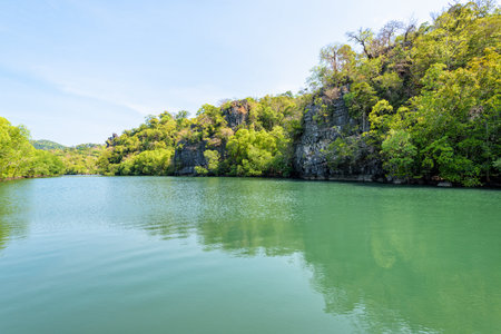 Beautiful nature landscape of green water forest and stone at Phante Melaka Canal. Water travel route to cruise to Crocodile Cave at Tarutao National Park, Satun, Thailandの写真素材