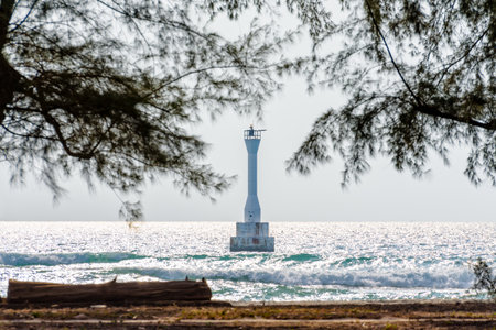 Beautiful nature landscape of the lighthouse on the sea beach and pine tree at Koh Tarutao, Tarutao National Park, Satun, Thailandの写真素材