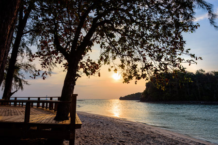 Beautiful nature landscape of colorful the sun on the sky at Tarutao island beach during the sunset over the Andaman Sea under the tree shadow, Tarutao National Park, Satun, Thailandの写真素材