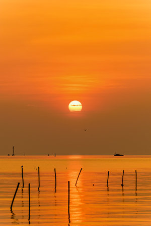 Beautiful nature landscape bright yellow sun reflecting orange light on the water surface of the sea and golden sunlight in sky, Colorful sunset at the tropical coast in Bangpu, Samut Prakan, Thailandの写真素材