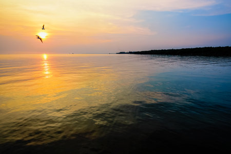 Beautiful nature landscape for background bright sun golden sunlight reflect the water, two birds a pair of seagulls flying on yellow, orange sky at sunset over the sea and horizon at Bangpu, Thailandの写真素材