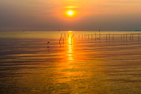 Beautiful nature landscape bright yellow sun reflecting orange light on the water surface of the sea and golden sunlight in sky, Colorful sunset at the tropical coast in Bangpu, Samut Prakan, Thailandの写真素材