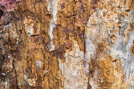 Rough and cracked texture pattern of the old black white and brown or rust color stone surface, Strong structure durable nature of rock for abstract grunge backgroundの写真素材