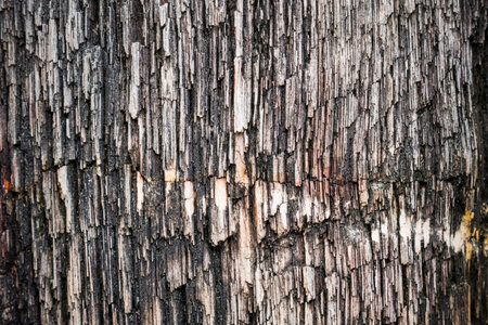 Rough texture pattern of the old black and white grunge stone surface, Strong structure durable nature of rock for abstract backgroundの写真素材