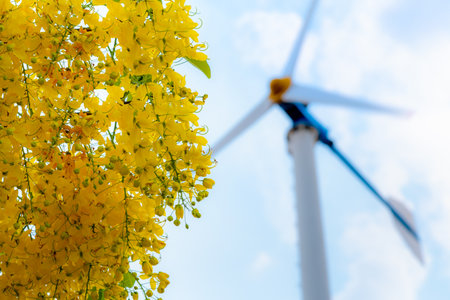Windmill electric power source and the yellow flower of Golden Shower or Cassia Fistula, Clean...