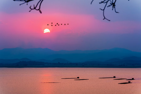 Beautiful nature landscape red sun on colorful sky and birds flock flying in a row over mountain and lake water during sunset, fish farming in cages background at Krasiao Dam, Suphan Buri in Thailandの写真素材