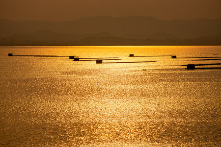 Beautiful nature landscape fish farming in cages on the water surface that reflects the golden yellow light of the sunlight during sunset and mountain background at Krasiao Dam, Suphan Buri, Thailandの写真素材