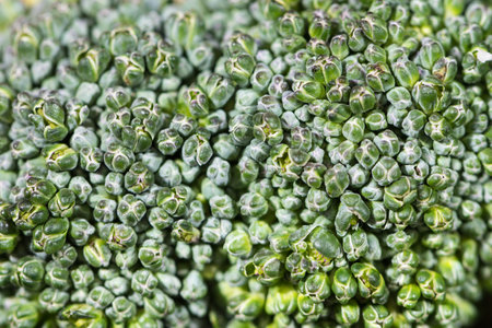 Close up top view green fresh broccoli flower vegetables for backgroundの写真素材