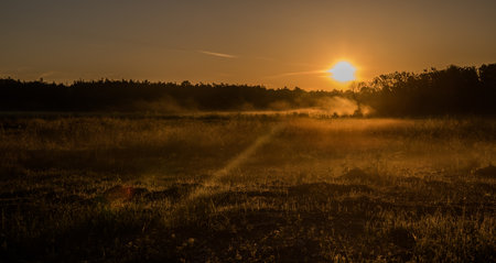 Sunset and Field of Grassの写真素材