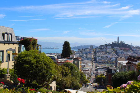 Lombard street in San Francisco United State.の写真素材