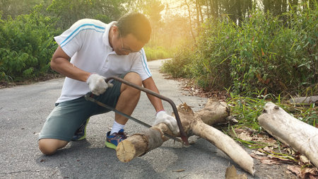 A man cuts a dry branch with a hand saw in the forestの写真素材