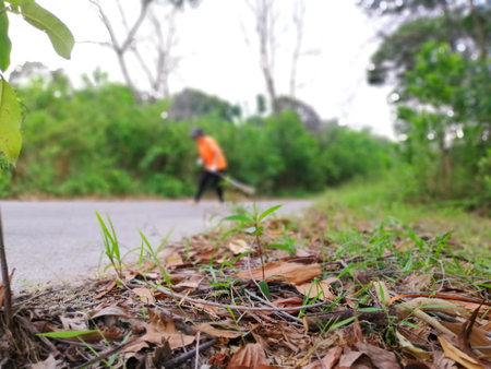 An asian woman is sweeping  leaves on the road in the  garden. Cleaning concept.の写真素材
