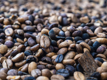 Focus on dried raw coffee beans. Mixed coffee beans of various roastingの写真素材