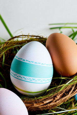 Easter eggs in the nest on a white background. Happy Easter.の素材