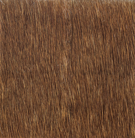 Skin and fur on the texture backgroundの写真素材